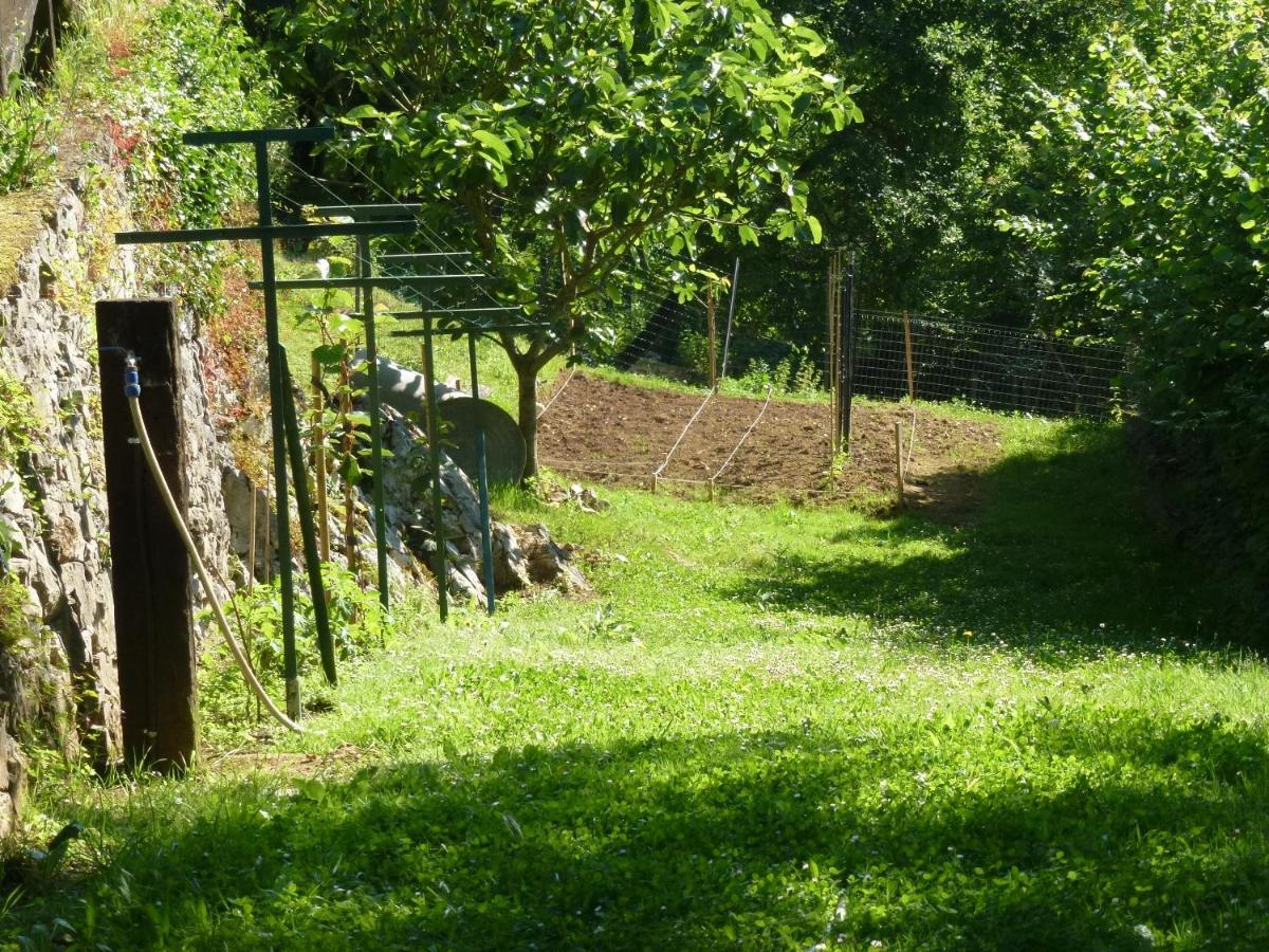 Casa Escuela De Torin - La Casona De Torin Guest House Екстериор снимка